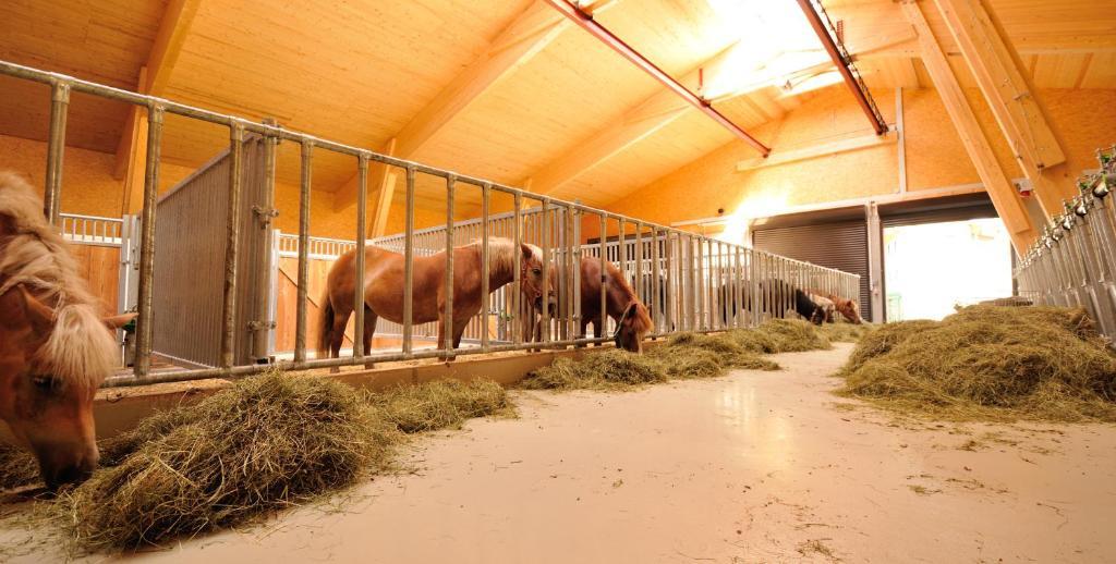 Bodenhof Ferienwohnungen Fieberbrunn Esterno foto