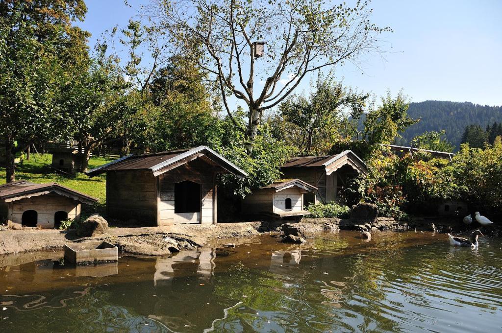 Bodenhof Ferienwohnungen Fieberbrunn Esterno foto